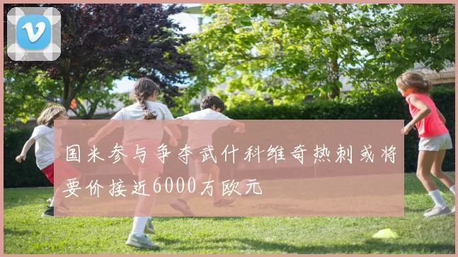 国米参与争夺武什科维奇热刺或将要价接近6000万欧元
