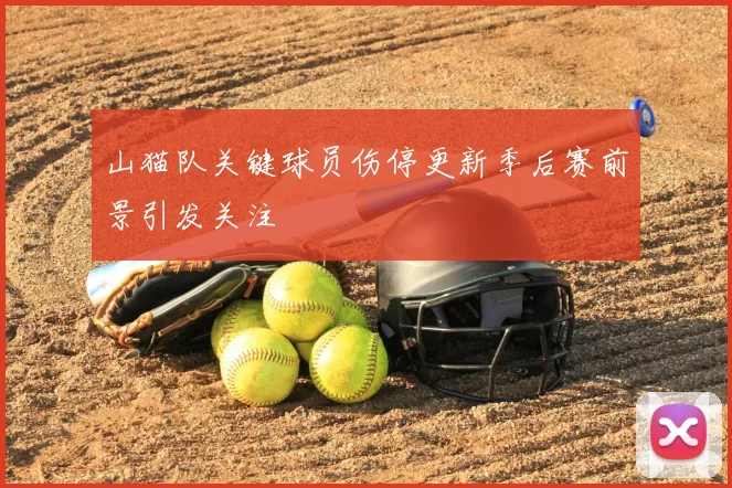 山猫队关键球员伤停更新季后赛前景引发关注
