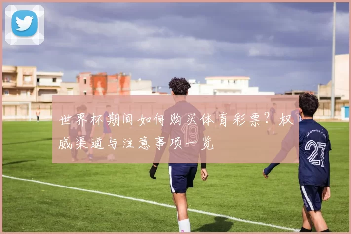 世界杯期间如何购买体育彩票?权威渠道与注意事项一览