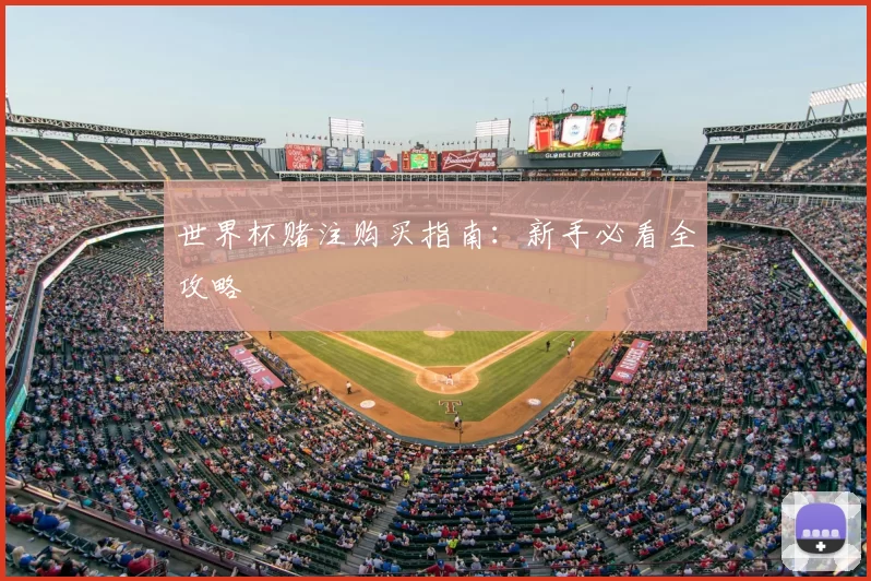 世界杯赌注购买指南:新手必看全攻略