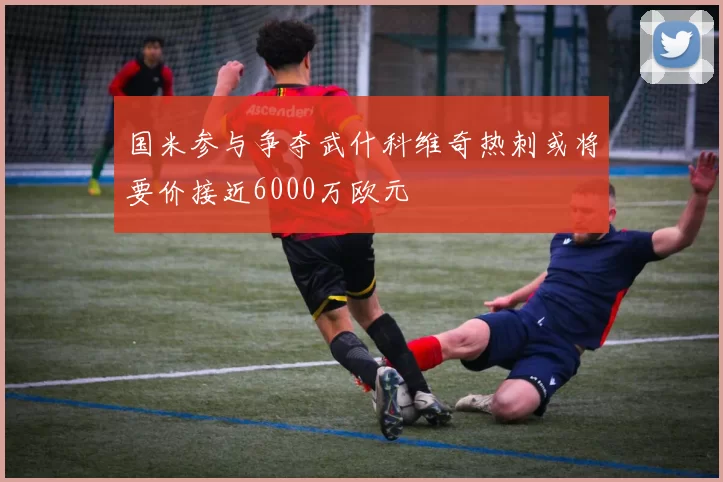 国米参与争夺武什科维奇热刺或将要价接近6000万欧元