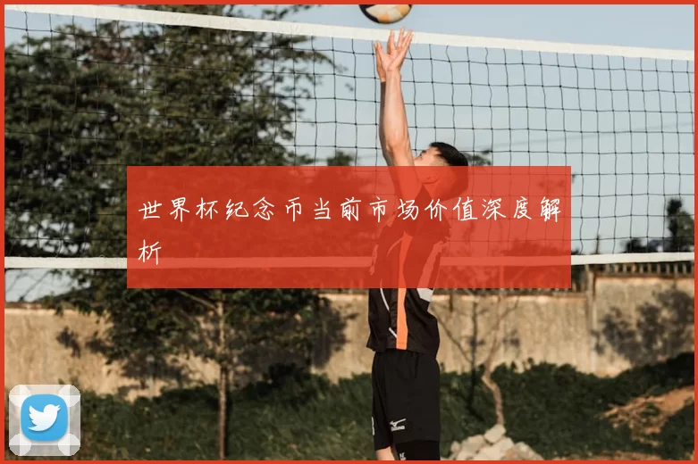 世界杯纪念币当前市场价值深度解析