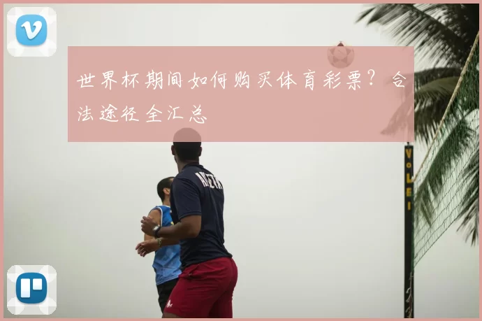 世界杯期间如何购买体育彩票?合法途径全汇总