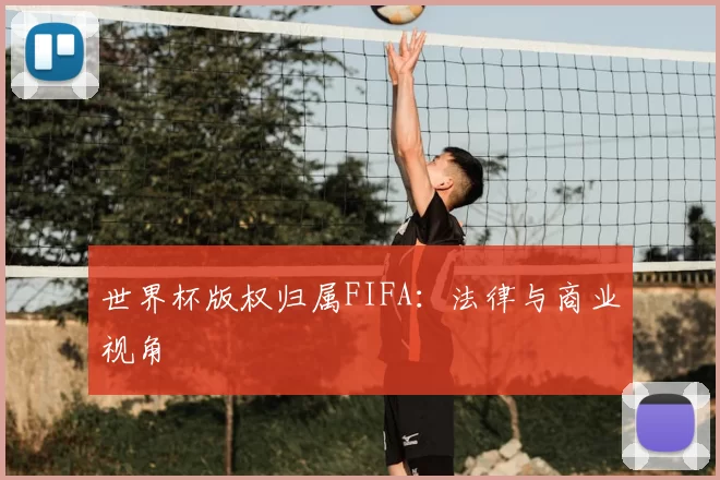 世界杯版权归属FIFA:法律与商业视角