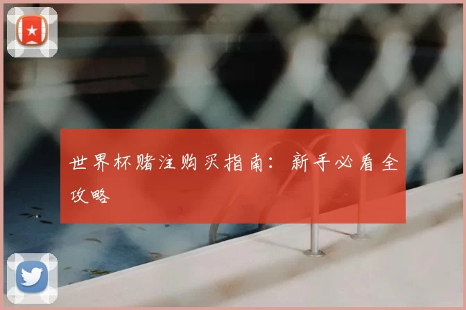 世界杯赌注购买指南:新手必看全攻略