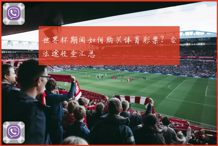 世界杯期间如何购买体育彩票?合法途径全汇总