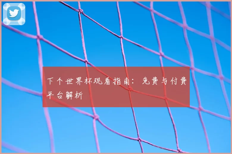 下个世界杯观看指南：免费与付费平台解析