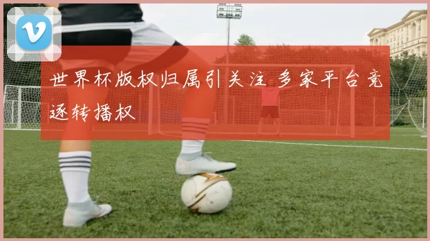 世界杯版权归属引关注 多家平台竞逐转播权